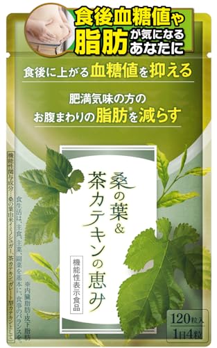 桑の葉＆茶カテキンの恵み(7個パックセット) 桑の葉&茶カテキンの恵み 和漢の森」の人気商品一覧 | 安い商品